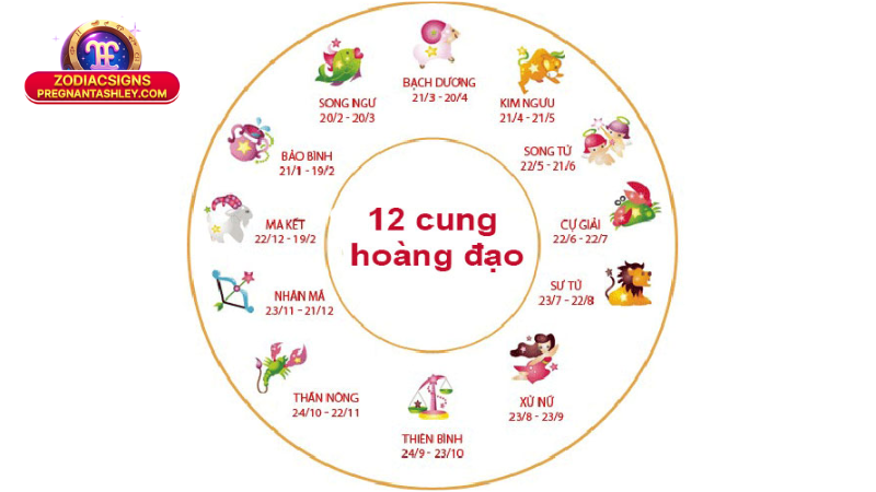 Cung Hoàng Đạo Hợp Nhóm Máu Nào? Khám Phá Sự Hòa Hợp 2 Liên Hệ ZodiacSigns - Trang Tin Tức Về Cung Hoàng Đạo