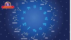 Quyền lợi và trách nhiệm khi gửi yêu cầu liên hệ tới ZodiacSigns