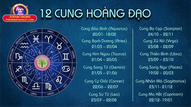 Cung Hoàng Đạo Hợp Cung Mệnh Nào