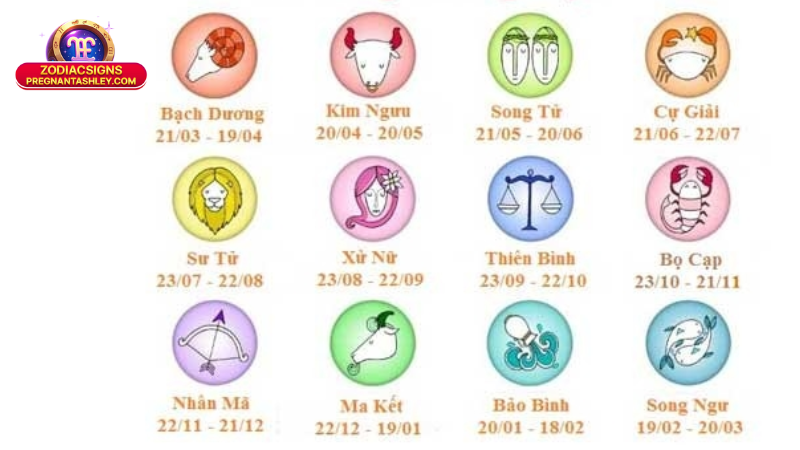 Cung Hoàng Đạo Hợp Cung Mệnh Nào: Hiểu Để Lựa Chọn Hạnh Phúc 3 Cách xác định cung hoàng đạo hợp cung mệnh nào: Góc nhìn đa chiều