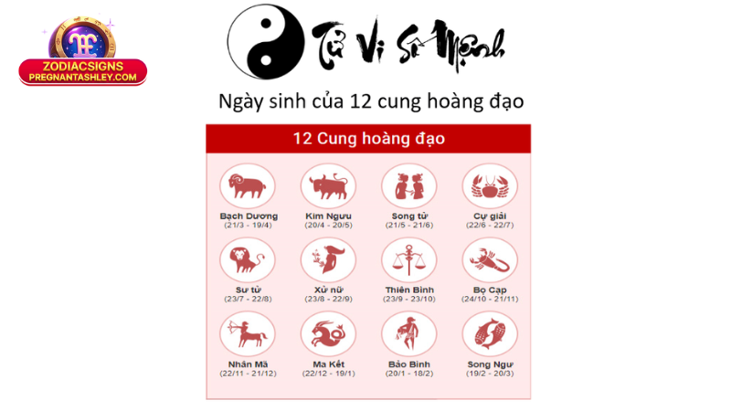 Cung Hoàng Đạo Hợp Với Tuổi Nào Theo 12 Con Giáp: Bí Quyết Giao Duyên 2 Cung hoàng đạo hợp với tuổi nào theo 12 con giáp: Lý giải và kết hợp