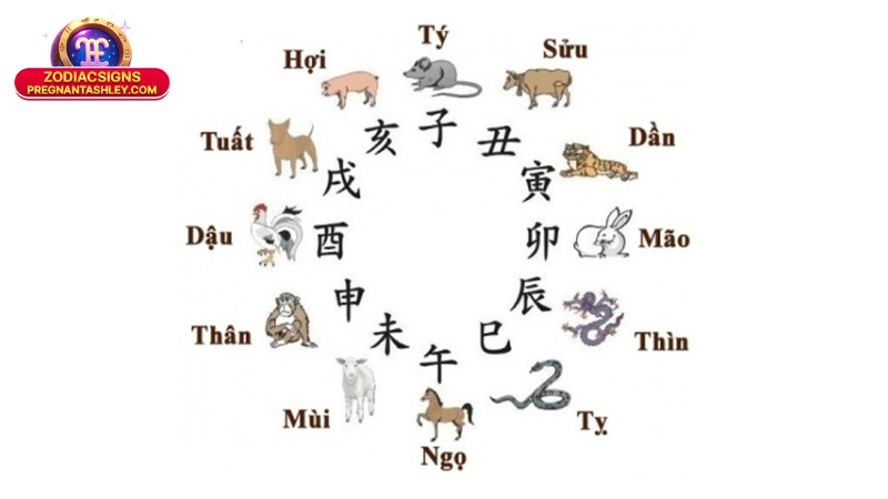 Cung Hoàng Đạo Hợp Với Tuổi Nào Theo 12 Con Giáp: Bí Quyết Giao Duyên 3 Bảng tra cứu: Cung hoàng đạo hợp với tuổi nào theo 12 con giáp chuẩn nhất 2025