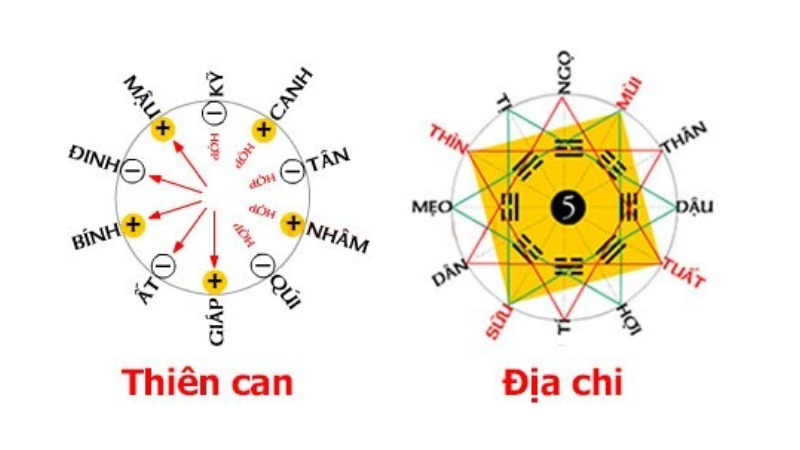 Chiêm Tinh Trung Quốc: Khám Phá Bí Ẩn 3 Ngũ hành, thiên can, địa chi và mối liên hệ với con người
