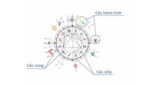 Tư vấn nghề nghiệp bằng chiêm tinh Ấn Độ tại ZodiacSigns