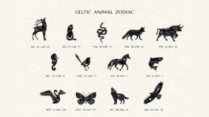 Đánh giá ưu nhược điểm khi lựa chọn giữa hai hệ chiêm tinh